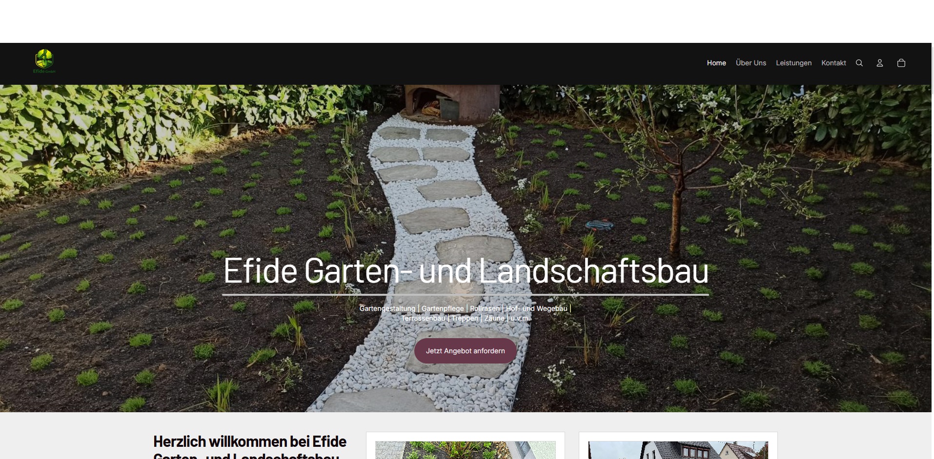 Efide GmbH Website Vorschau